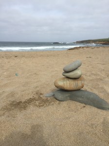 A9A84911-6DF2-4772-9CF6-FC2B97F2E813