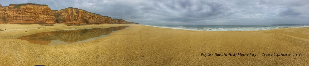 Half Moon bay signed ©